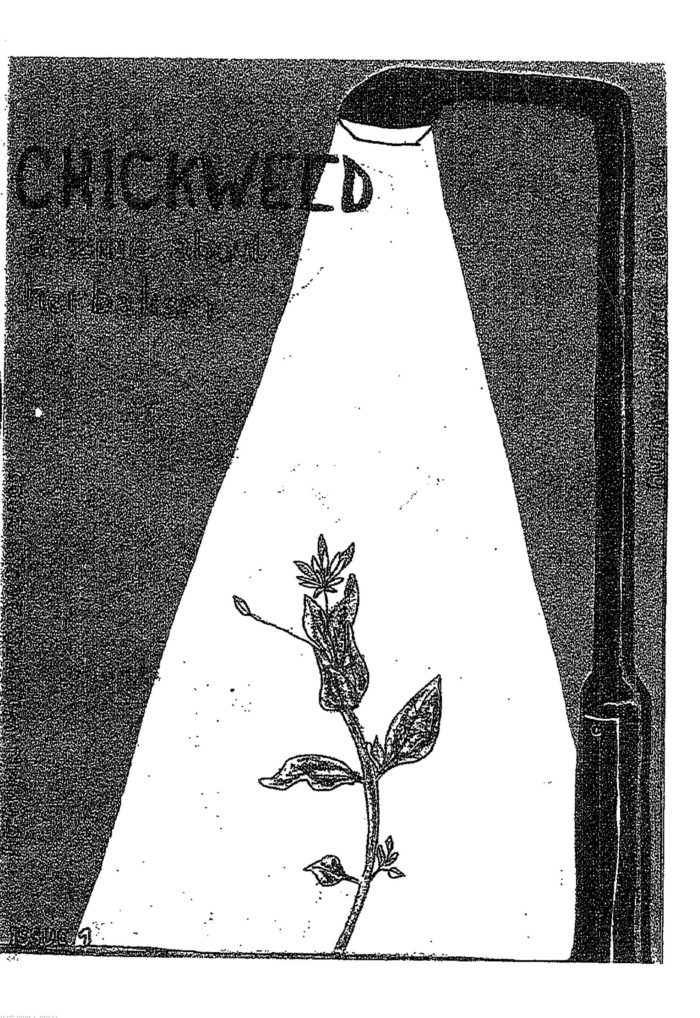 Chickweed: A Zine on Herbalism