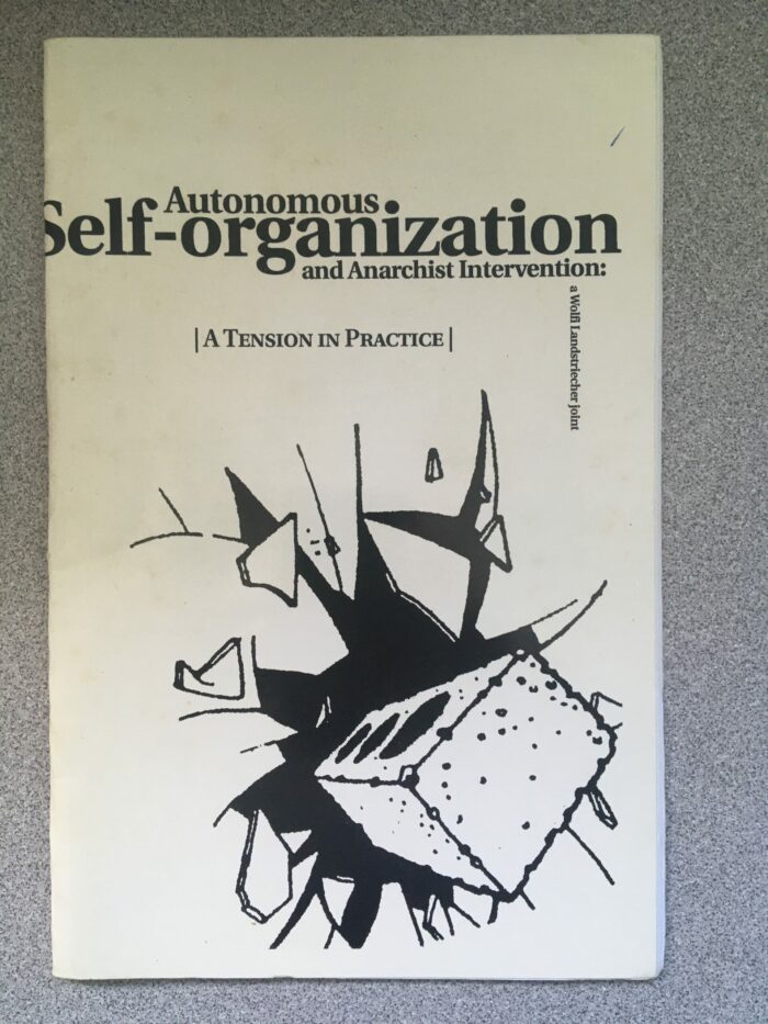 Autonomous Self-organization and Anarchist Intervention: A Tension in Practice