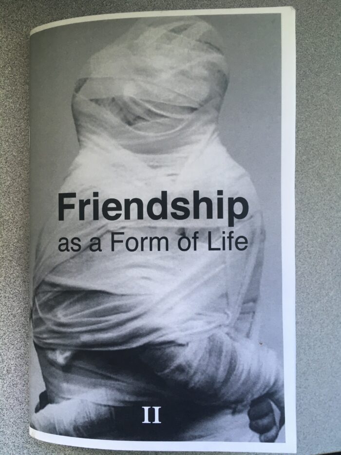 Friendship as a Form of Life