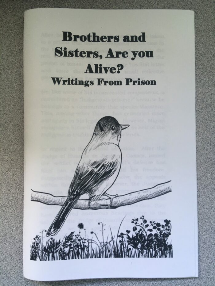 Brothers and Sisters, Are You Alive?: Writings From Prison