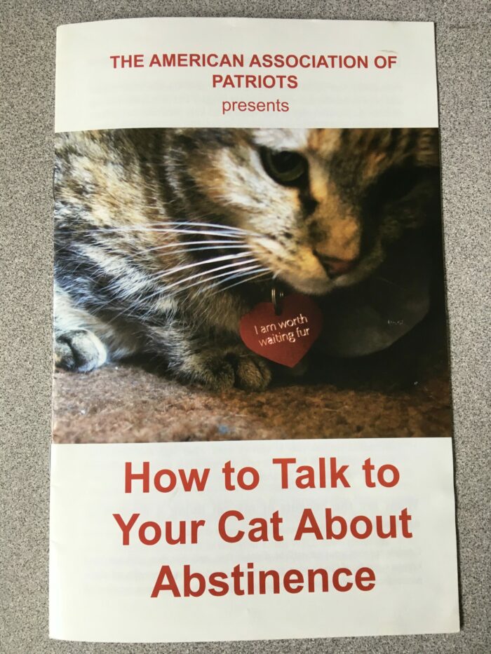 How to Talk to Your Cat About Abstinence