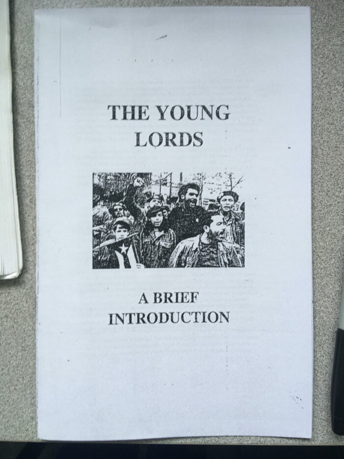 The Young Lords: A Brief Introduction